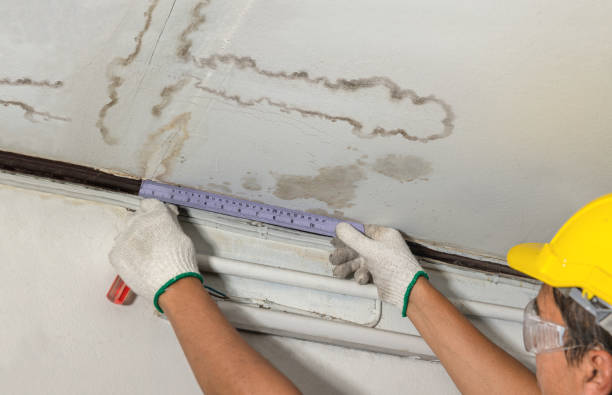 Reliable Water Damage contractor in Rudolph, OH by Water Damage Irwin